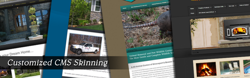 Content Management and design skins for your website